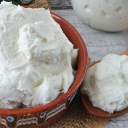 YOĞURT
