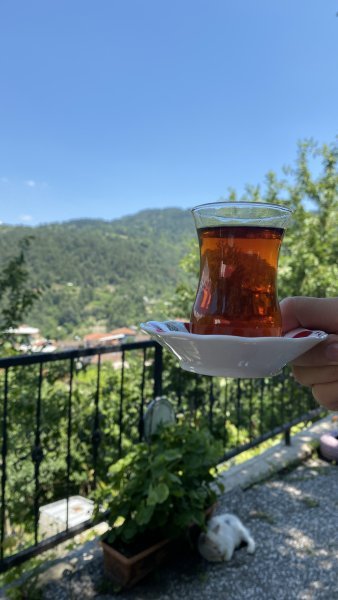 Bardak Çay