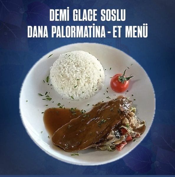 Dana Palormatina