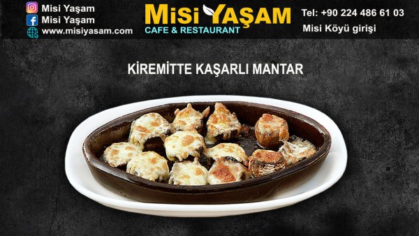 Kaşarlı Mantar