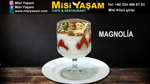 Magnolya