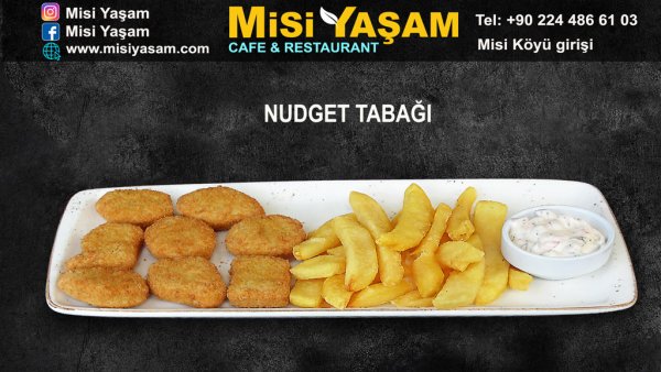 Nudget Tabağı