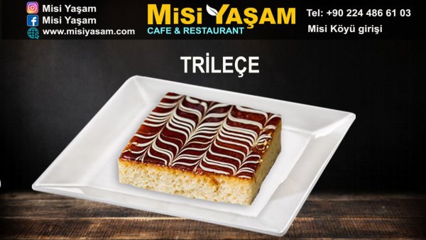 Trileçe