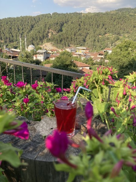 Vişne Suyu (ev yapımı)